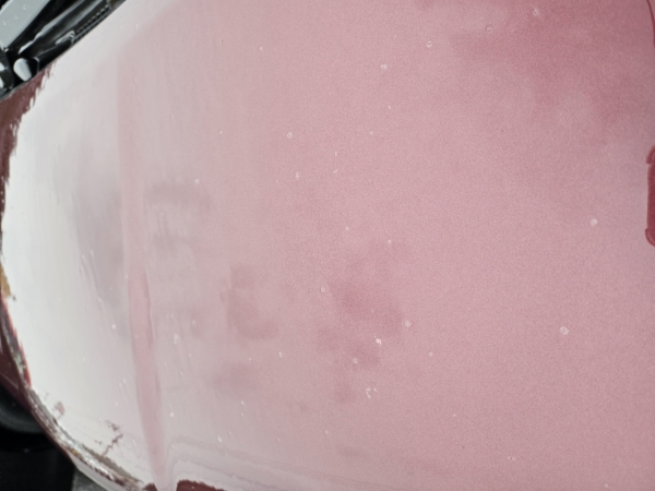 今日は雨模様ですね☔の画像